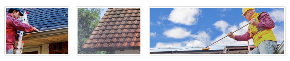 Polstead roof cleaning costs